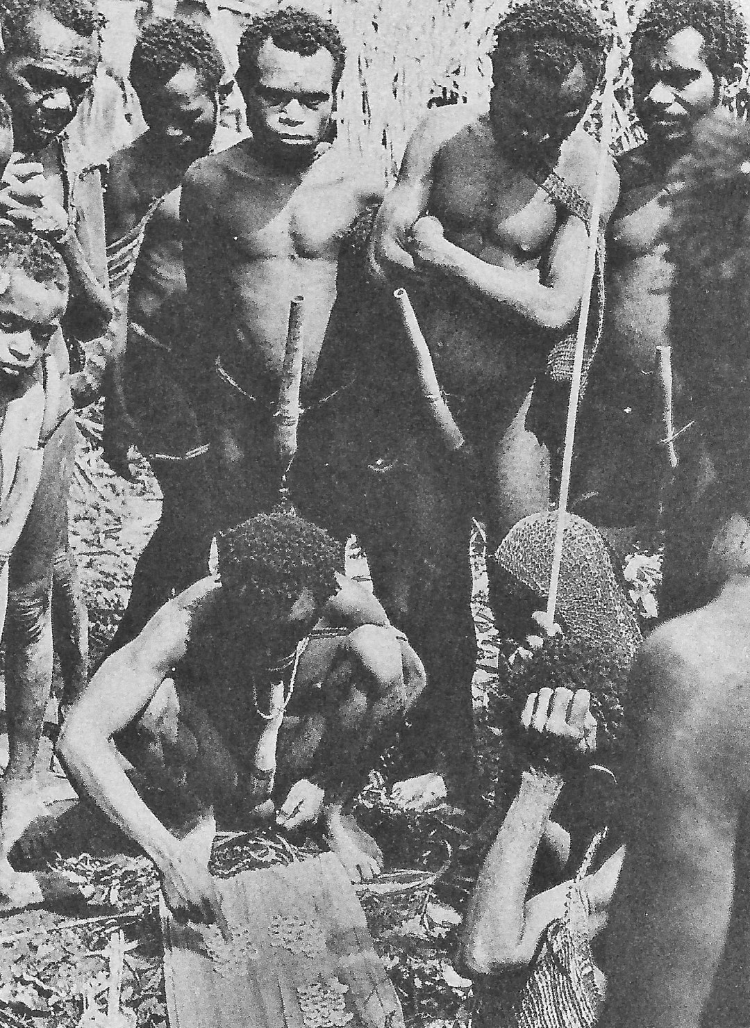 Abb. 1-1: Indonesien: Provinz Papua: Dorf Botukebo. Männer der Kapauku zahlen einen Brautpreis (aus Pospisil, 1962)