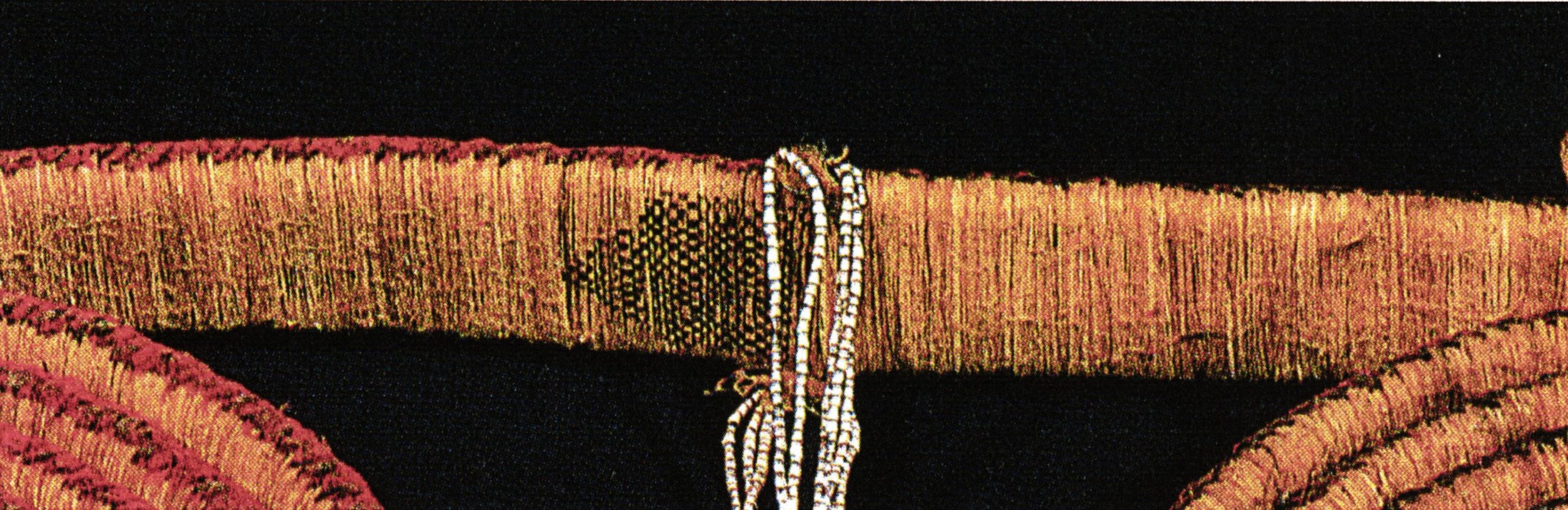 PGS 36,2 (2015) Tafel 37 Abb. 5: Mittelstück einer Federgeldrolle (Nr. 61.103.110) des Musée de L'Homme (Paris) mit Handwerkermarke. (Foto aus de Coppet, 2001 S.151)